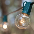 G40 Transparent Clear, 7 Watt Replacement Bulbs