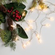 Battery Operated Mini C6 LED String Lights, 20 Warm White Lights
