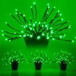 15" Green Starburst Lighted Branches, Green LED Twinkle Lights, 3 pc