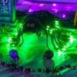 15" Green Starburst Lighted Branches, Green LED Twinkle Lights, 3 pc