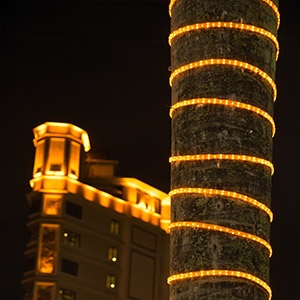 Rope Light for Column and Tree Wraps