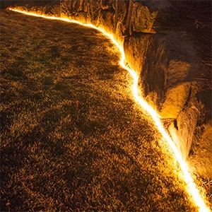 Rope Light Pathway and Landscape Lighting
