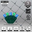 5mm 4' x 6' LED Net Lights - 100 Blue, Green Lamps - Green Wire