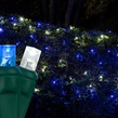 5mm 4' x 6' Blue, Cool White LED Net Lights, Green Wire
