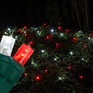 5mm Red, Cool White Twinkle LED Net Lights, Green Wire