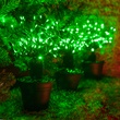 15" Green Starburst Lighted Branches, Green LED Twinkle Lights, 3 pc