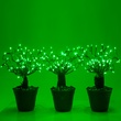 15" Green Starburst Lighted Branches, Green LED Twinkle Lights, 3 pc