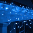 100 Blue Icicle Lights, White Wire 