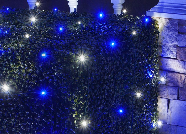 Blue and Cool White LED Net Lights