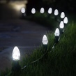 C7 Cool White OptiCore LED Christmas Light Bulbs, Box of 25