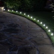 C7 Cool White OptiCore LED Christmas Light Bulbs, Box of 25