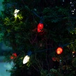 Kringle Traditions TM C7 120V Dimmable Warm White LED Christmas Light Bulbs