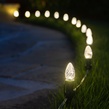 C7 Warm White OptiCore LED Christmas Light Bulbs, Box of 25