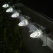 C7 Cool White OptiCore LED Christmas Light Bulbs, Box of 25