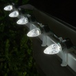 Kringle Traditions TM C7 120V Dimmable Cool White LED Christmas Light Bulbs