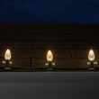 Kringle Traditions TM C7 120V Dimmable Warm White LED Christmas Light Bulbs