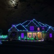 C9 Purple OptiCore LED Christmas Light Bulbs