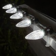 Kringle Traditions TM C9 120V Dimmable Cool White LED Christmas Light Bulbs
