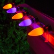C9 Amber / Purple Smooth OptiCore Commercial LED Halloween String Lights, 50 Lights, 50'