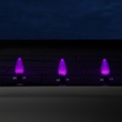 C9 Purple OptiCore LED Christmas Light Bulbs