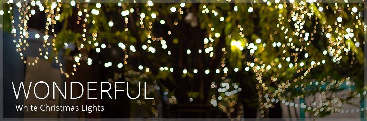 White Christmas Lights