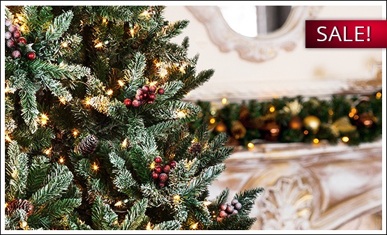 Christmas Trees for Sale