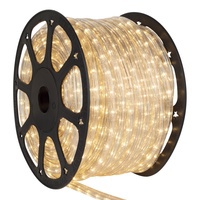 Clear Rope Lights