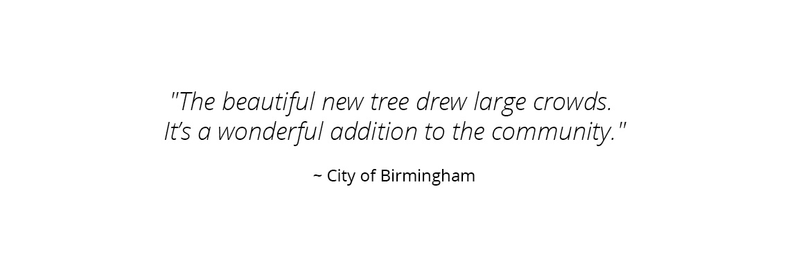Commercial Christmas Trees