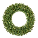 Douglas Fir Prelit LED Christmas Wreath, Warm White Lights