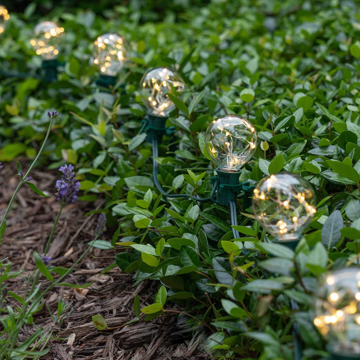 Globe Fairy Lights for Illuminating Pathways for Guests During Weddings