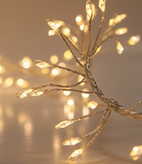 Cluster LED Fairy Garland Lights
