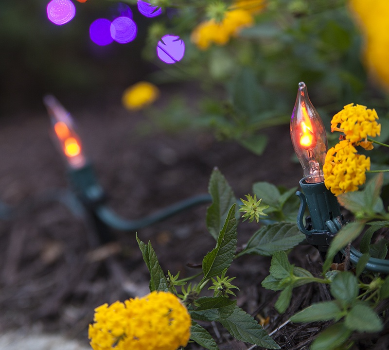 Flicker Flame Bulb Halloween Walkway Lights