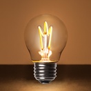 G45 Warm White Glass FlexFilament&reg LED Edison Bulb Globe Light Bulb Transparent