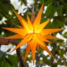 14" Gold LED Moravian Star