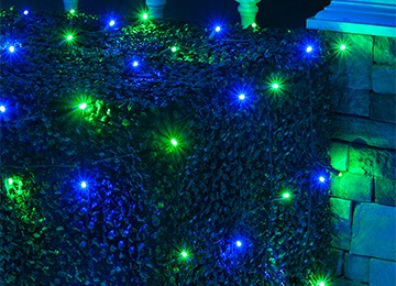 Blue and Green Christmas Net Lights
