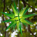 14" Green LED Moravian Star