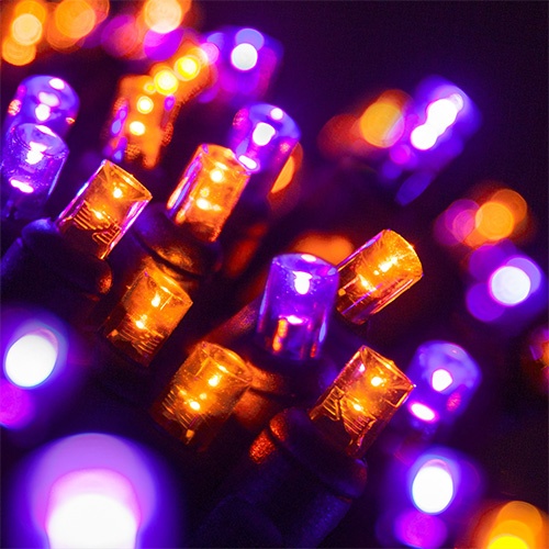 LED Halloween Mini Lights Close Up
