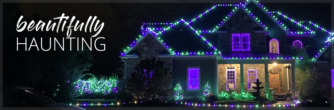 Halloween Lights & Decor