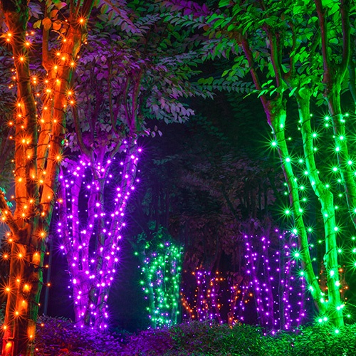 LED Halloween Mini Lights Forest