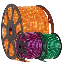 Halloween Themed Rope Lights