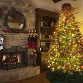 how many lights for trees