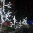 50 Cool White Outdoor LED Christmas Tree Lights, Mini 5MM, 6" Spacing