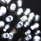 5mm Cool White LED Christmas Lights, Commercial, Brown Wire
