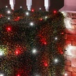 5mm 4' x 6' Red, Cool White LED Net Lights, Green Wire