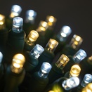 50 5mm Cool White, Warm White Champagne LED Christmas Lights, Commercial