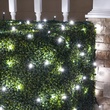 5MM 4'x6' Twinkle Pure White LED Net Lights, Green Wire