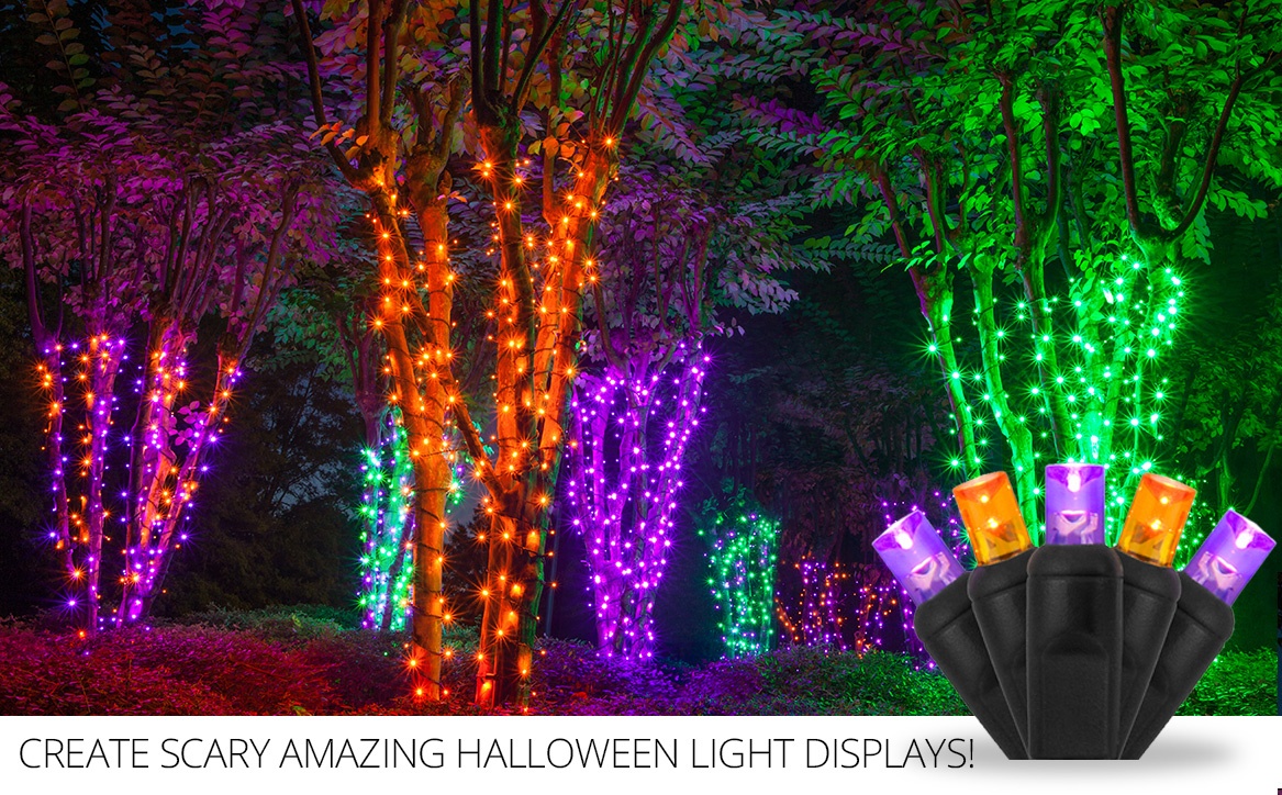 LED Halloween Mini Lights Colors