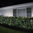 5MM 4'x6' Cool White LED Net Lights, Green Wire