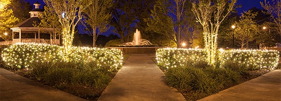 LED Net Lights