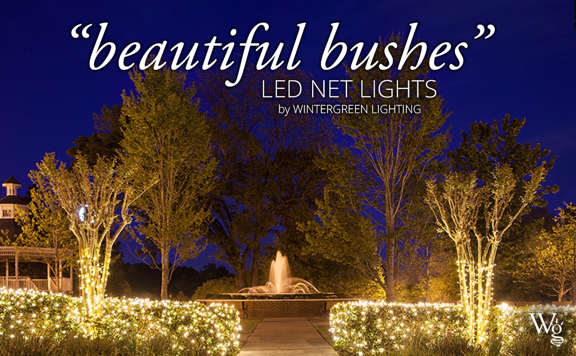 led net lights 1